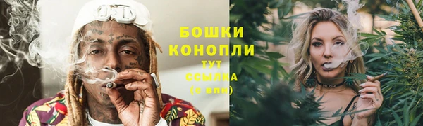 кокс Дмитров