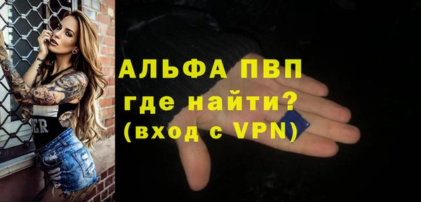 стафф Елизово
