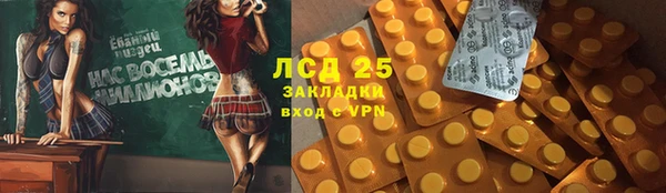 гашик Дмитровск