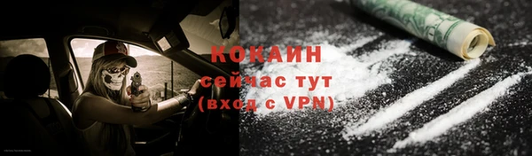 гашик Дмитровск