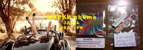 гашик Дмитровск