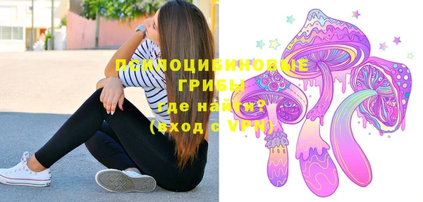 кристаллы Ельня