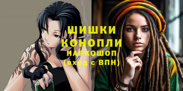 гашик Дмитровск