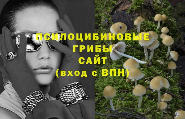 гашик Дмитровск