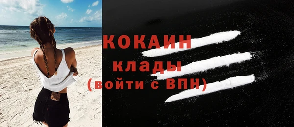 гашик Дмитровск