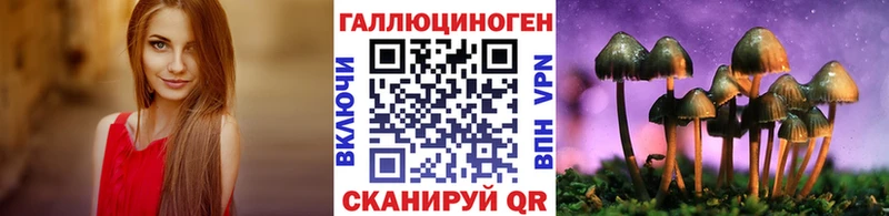 Купить закладки  Строитель  Псилоцибиновые грибы Magic Shrooms 